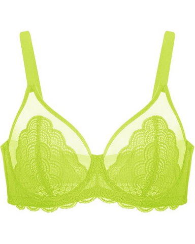 Sujetador sexy de encaje transparente de malla